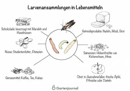 Larwale ophoping in verskeie voedselsoorte