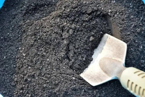 rock dust rock dust