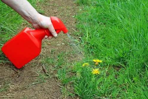 vinagre-contra-males herbes