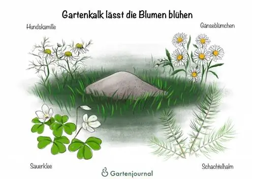 Tuinkalk laat die blomme blom