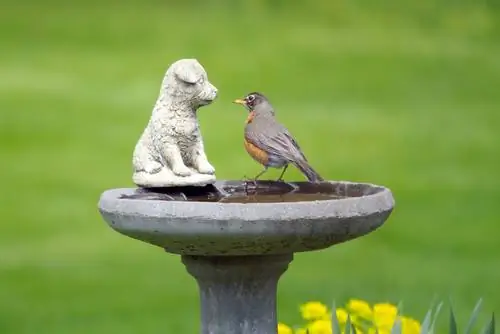 Make your own concrete bird bath: simple instructions