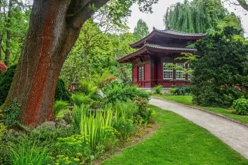 Japanska trädgården Leverkusen