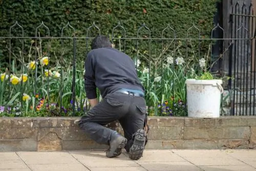 Males herbes a la línia de la propietat: com mantenir-les sota control