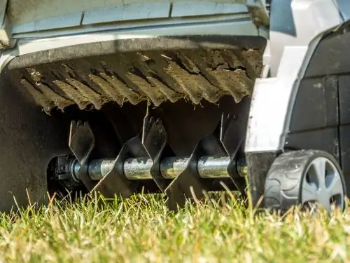 Gazon zaaien en onkruid voorkomen: effectieve methoden