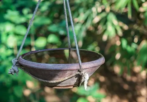 হ্যাং birdbath