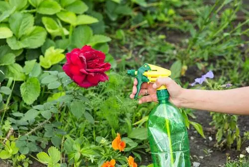 huismiddeltjes tegen luizen