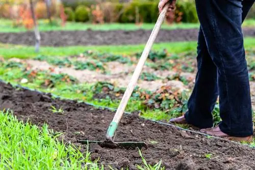 crear un lecho de verduras