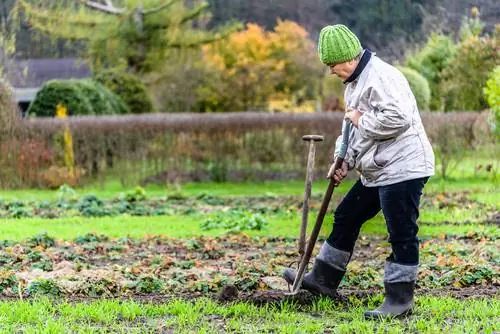 crear un lecho de verduras