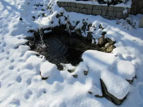 het winterklaar maken van de vijver