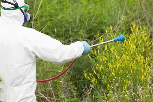 Herbiciden in de tuin: wanneer zijn ze nuttig en wanneer niet?