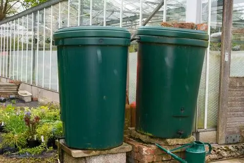 Greenhouse irrigation: use the rain barrel cleverly