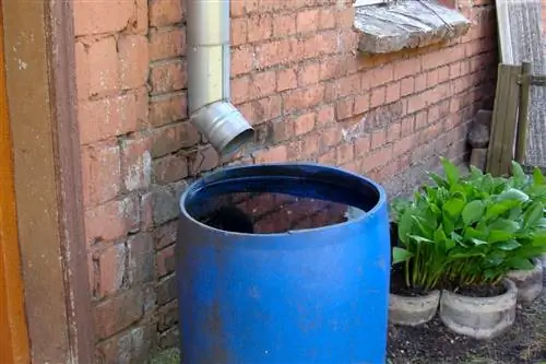 Sealing a hole in a rain barrel: Simple & effective method