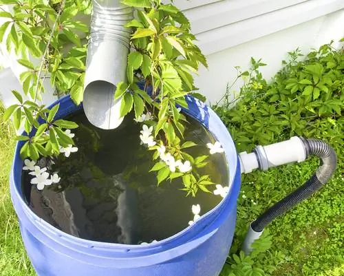 Setting up a rain barrel: step-by-step instructions & tips