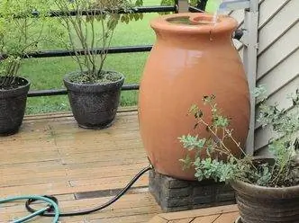 Tinatanggalan ng laman ang rain barrel gamit ang hose: Narito kung paano ito gawin nang tama