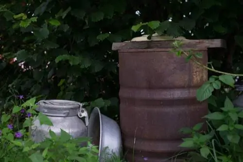 Dispose of rain barrel