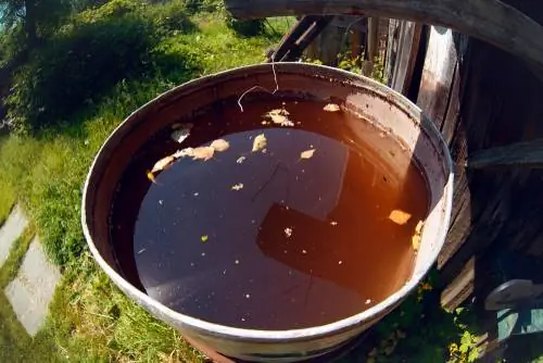 el agua bajo la lluvia apesta