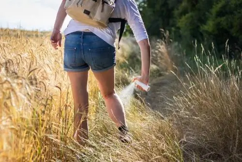 Muggen in het gras: hoe u uzelf effectief kunt beschermen