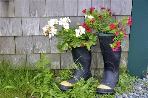 Botas de goma para plantas: decoración creativa del jardín en 4 pasos