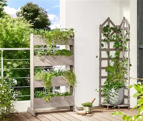 Blooming balcony: How to create a colorful oasis