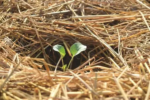 faites votre propre compost