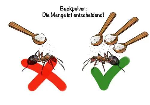 Miere in die kombuis: Bakpoeier – die hoeveelheid is deurslaggewend!