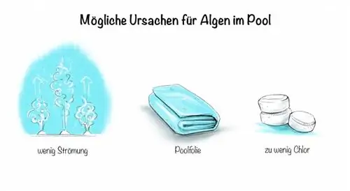 Possible causes of algae in the pool