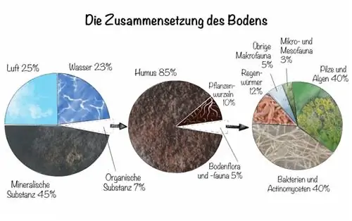 The composition of the soil