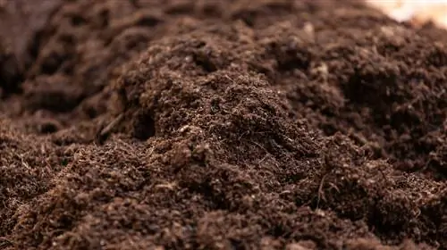 Humus: The secret of fertile garden soil