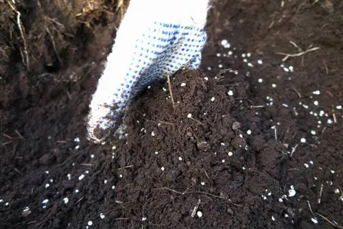 compost soil