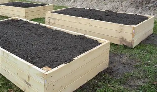 compost soil