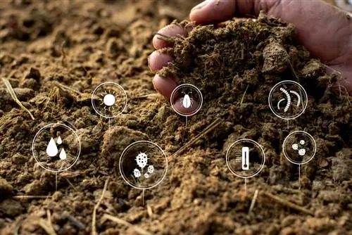 Terra compost: come ottimizza il giardino e dove acquistarla?