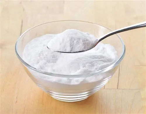 Melawan agas jamur: Bagaimana baking soda membantu sebagai pengobatan rumahan?