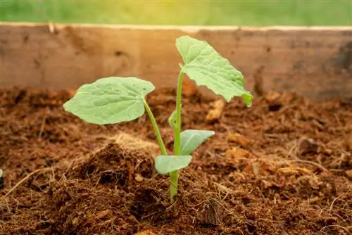 Klappergrond is geskik vir alle plante