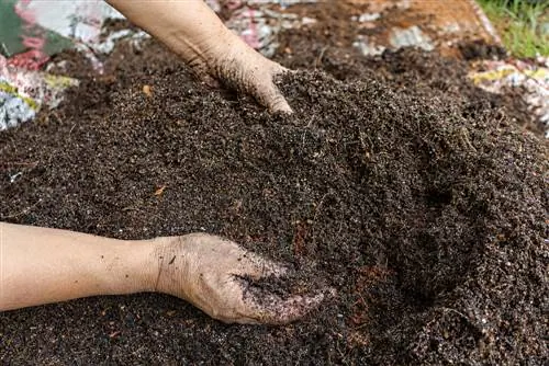 Mencampur tanah kelapa dengan tanah pot: Bagaimana dan mengapa?