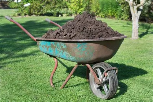 Pangangalaga sa damuhan gamit ang compost soil: mga tagubilin para sa mga nagsisimula