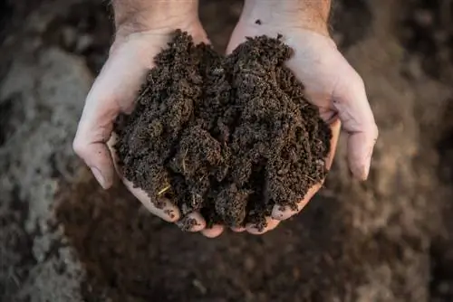 utilisation du compost