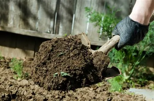 améliorer la terre du jardin