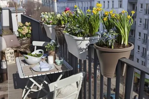 Spring-like flower pots: Which plants are suitable?