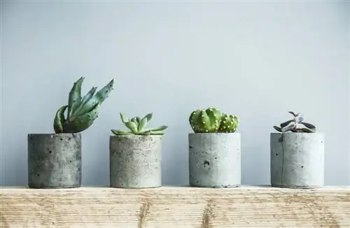 Make your own concrete flower pots: Stable & inexpensive