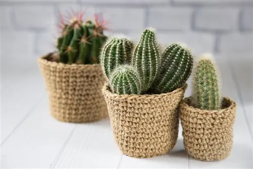 Crochet Planter: A creative gift for plant lovers