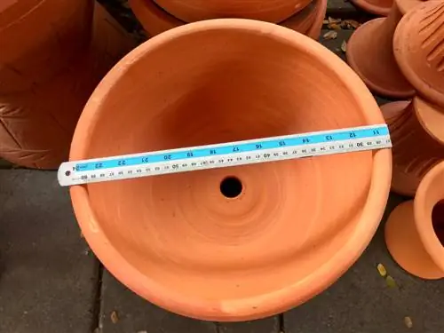 flower pot diameter measurement