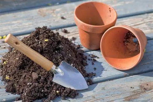 Buco nel vaso di fiori? Istruzioni per sigillare e riparare