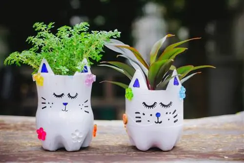 Make your own flower pot: Creative ideas for your home