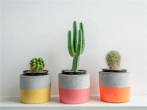 Beautify flower pots: creative ideas and tips