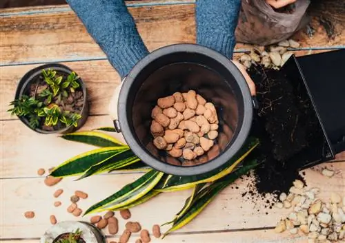 Drainage in a flower pot without a hole: How to do it correctly