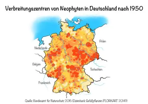 Neofiete: Verspreidingsentrums van neofiete in Duitsland na 1950