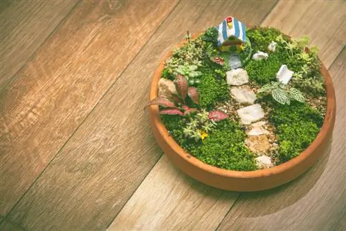 Mini garden sa isang flower pot: Paano ka gagawa ng mini oasis?