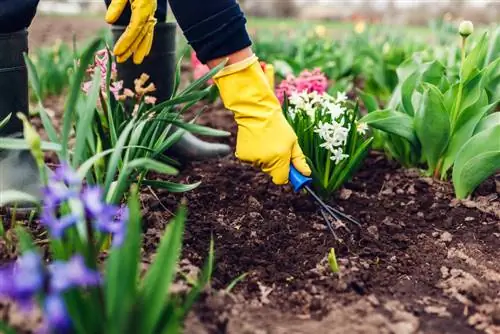 Sciogliere il terriccio: perché è importante e come farlo