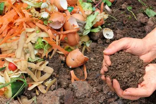 Eliminació de terra per test: eliminació adequada i alternatives