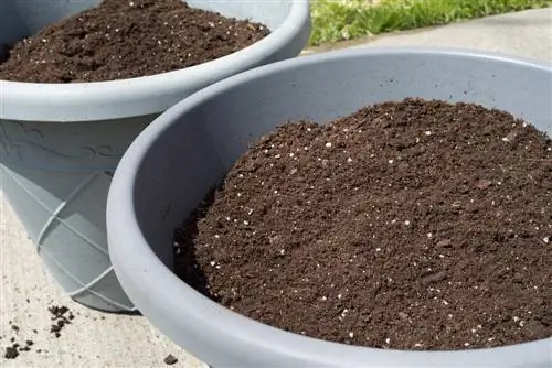 Potting soil or planting soil? This is how you make the right choice